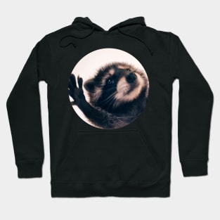 Pedro Dancing Raccoon Meme Hoodie